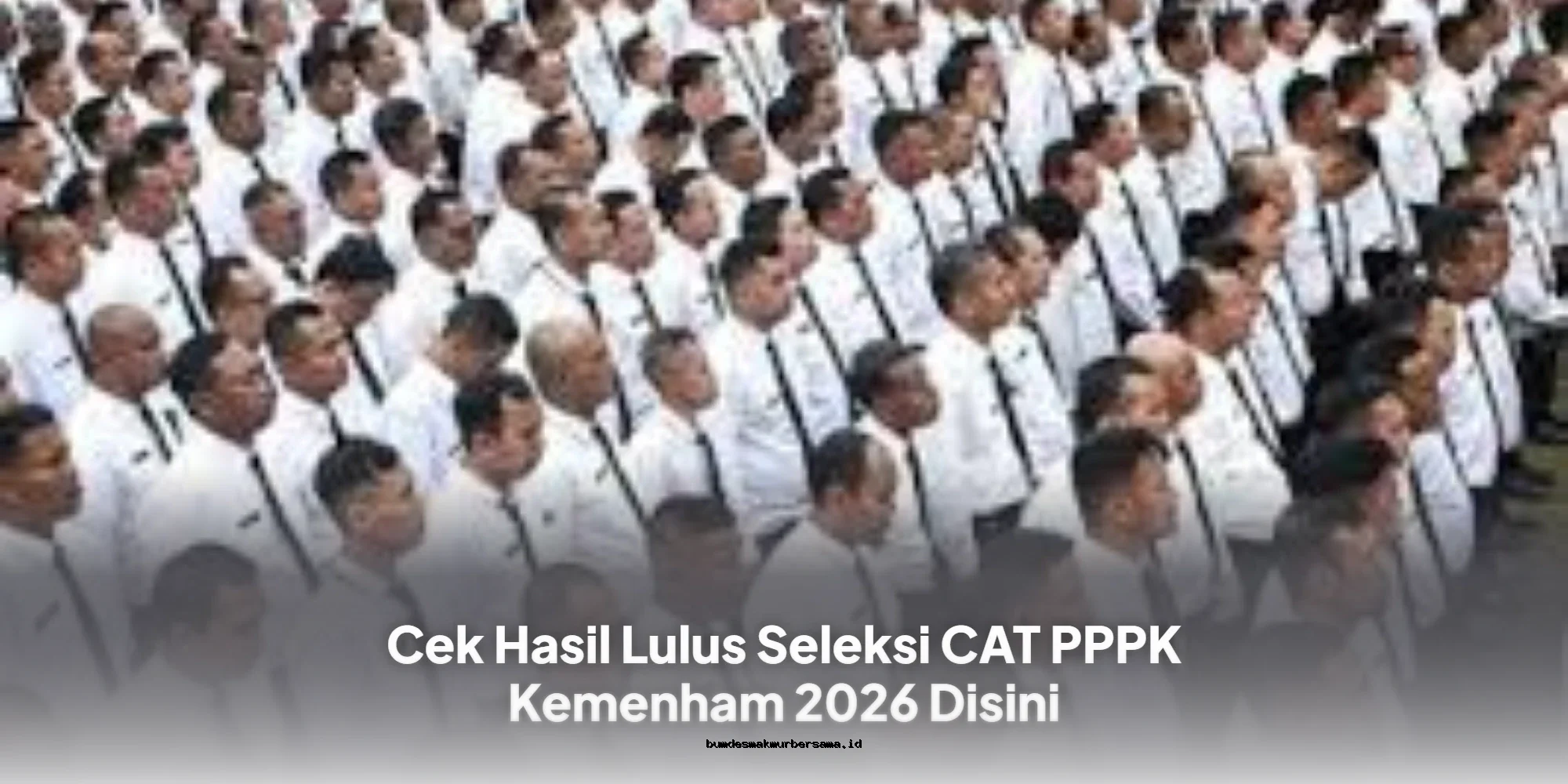 Hasil Seleksi CAT PPPK Kemenham 2026: Temukan Nama Anda di Sini!