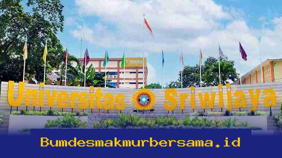 Kampus Terbaik di Palembang 2026 dengan Jurusan Unggulan yang Wajib Kamu Ketahui!