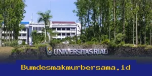 Universitas Unggul di Pekanbaru 2026: Mana yang Paling Dicari?