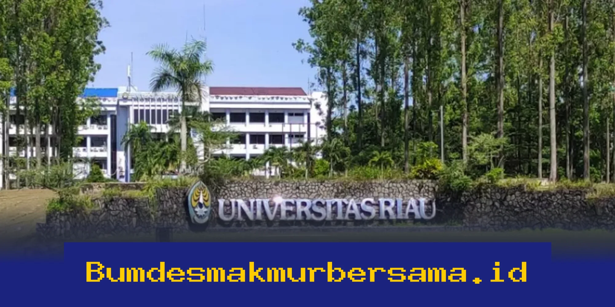 Universitas Unggul di Pekanbaru 2026: Mana yang Paling Dicari?
