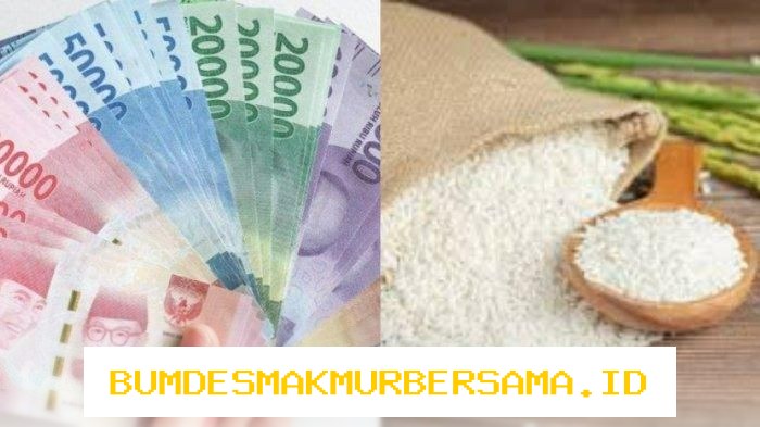 Cara Gampang Mengecek Penerima Bansos Maret 2026 Lewat Online Hanya Pakai KTP!