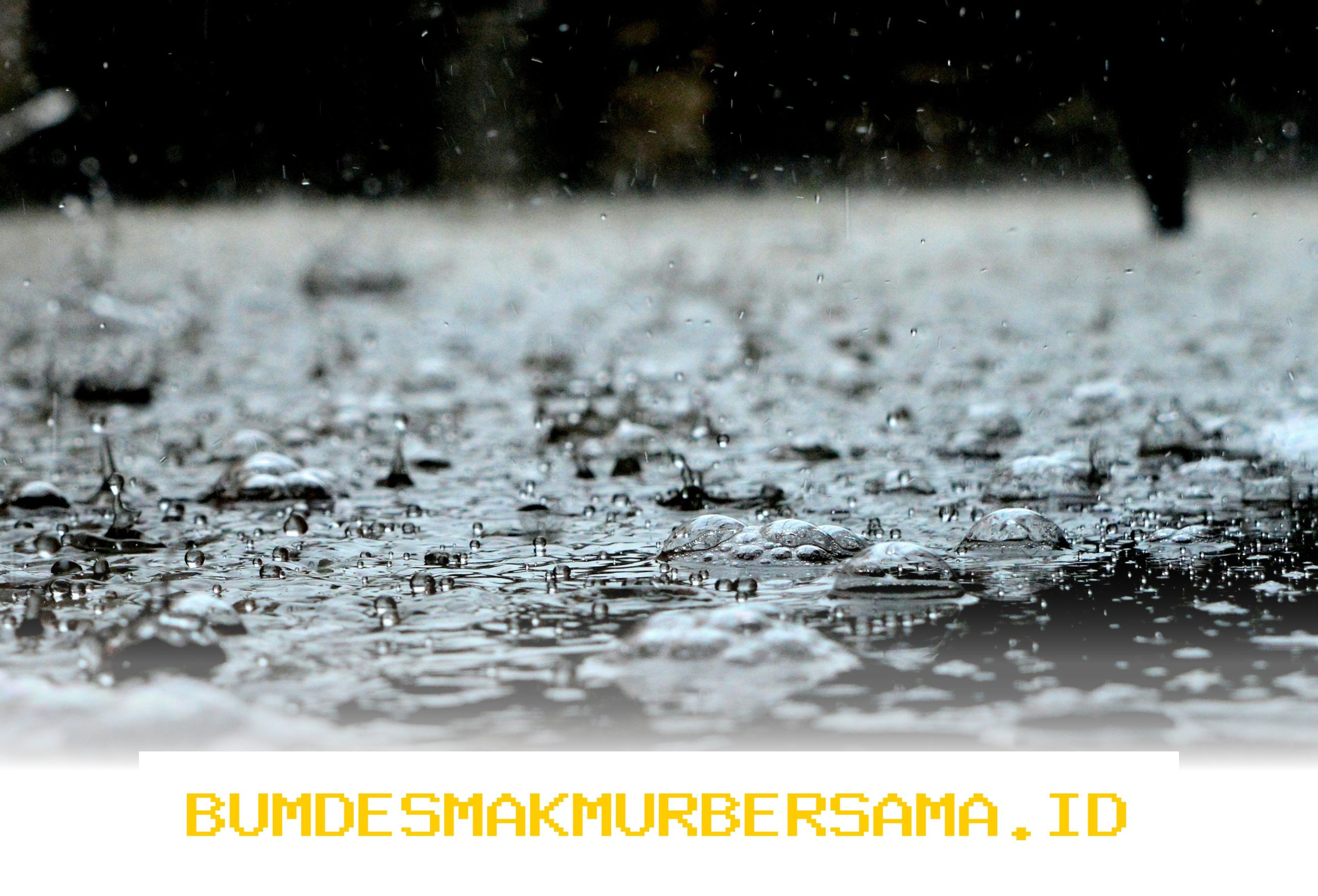 Cuaca Bogor Hari Ini Siang Panas Melilit Malam Adem Segar Begini Detailnya!