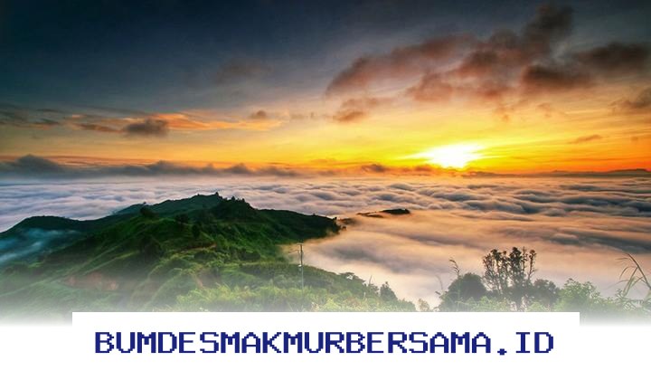 Destinasi Wisata Jambi yang Paling Banyak Dikunjungi, Cocok untuk Liburan Seru!