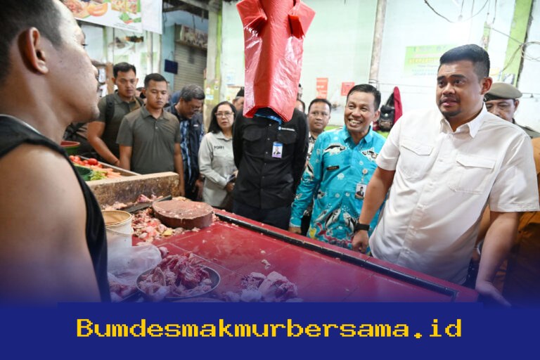 Harga Ayam di Sumut Turun Jelang Idulfitri 2026, Pemprov Waspadai Lonjakan Permintaan!
