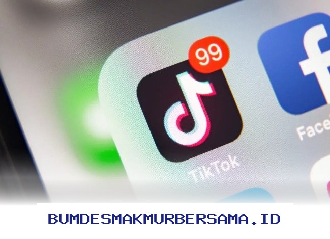 Ingin Followers TikTok Meroket? Ini Rahasia Cara Mudah Viral yang Harus Kamu Coba!