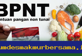 Jadwal Penyaluran Dana Bansos BPNT Tahap 1 Tahun 2026 Sudah Bisa Dicek!