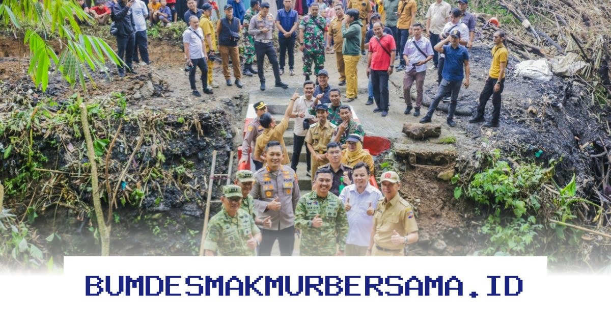 Jembatan Cileungsir Bogor Selatan Resmi Dibuka Presiden, Akses Warga Makin Mudah!