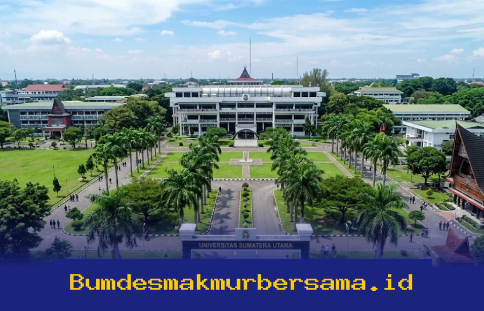 Mau Kuliah di Medan? Ini Dia 5 Kampus Terbaik 2026 yang Siap Melambungkan Karier Anda ke Arena Nasional dan Global!