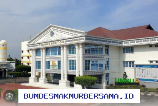 Mau Kuliah IT di Medan? Ini 5 Rekomendasi Kampus Terbaik untuk Kamu!